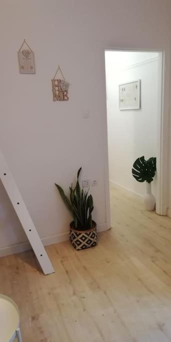 דירות Heart Of Athens II 25Sqm מראה חיצוני תמונה