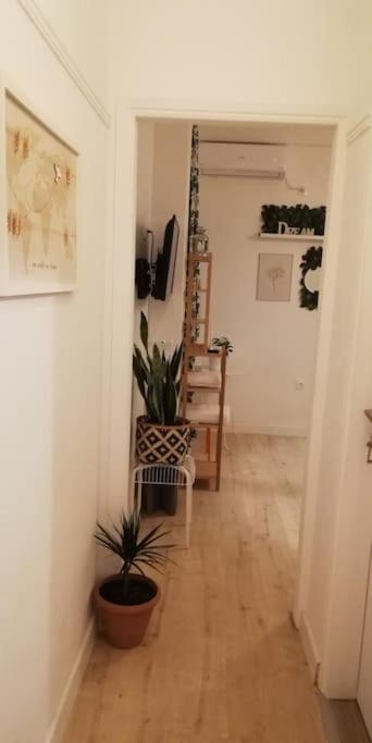 דירות Heart Of Athens II 25Sqm מראה חיצוני תמונה